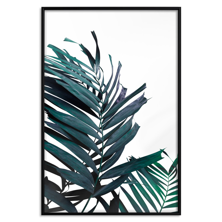 Wall Poster Emerald leaves - white background and tropical palm in green 115118 additionalImage 24