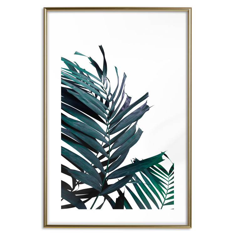 Wall Poster Emerald leaves - white background and tropical palm in green 115118 additionalImage 14