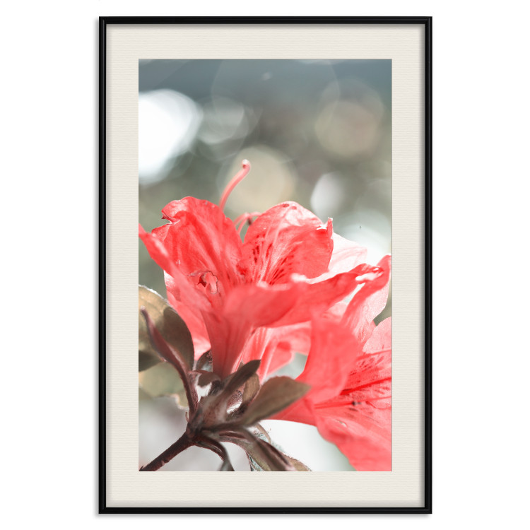 Wall Poster Red Flowers - botanical composition with intensely colored plants 121618 additionalImage 18