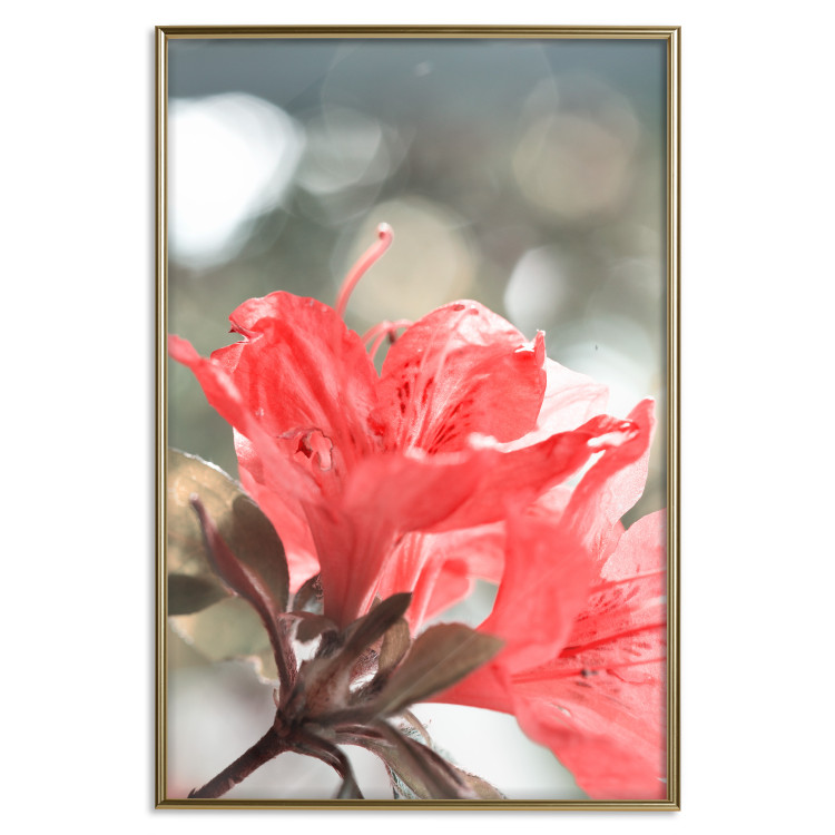 Wall Poster Red Flowers - botanical composition with intensely colored plants 121618 additionalImage 16