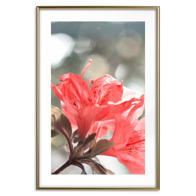 Wall Poster Red Flowers - botanical composition with intensely colored plants 121618 additionalImage 14