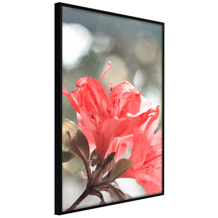 Wall Poster Red Flowers - botanical composition with intensely colored plants 121618 additionalImage 10
