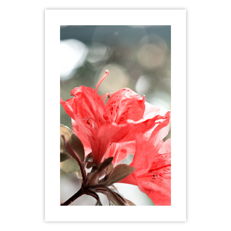 Wall Poster Red Flowers - botanical composition with intensely colored plants 121618 additionalImage 25