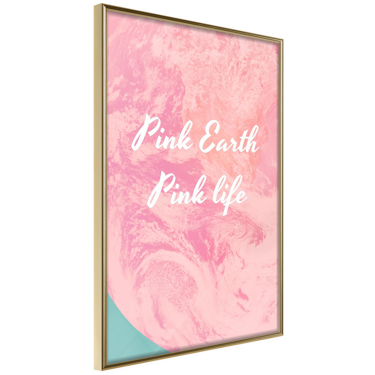Poster Pink Earth, Pink Life - white English text on pink texture 123218 additionalImage 3