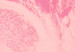 Poster Pink Earth, Pink Life - white English text on pink texture 123218 additionalThumb 5