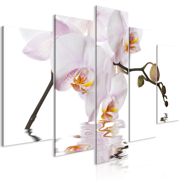 Canvas Delightful Orchid (5 Parts) Wide 123418 additionalImage 2