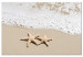 Canvas Print Holiday Souvenir (1-piece) Wide - starry beach landscape 129818