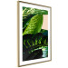 Poster Dieffenbachia - plant landscape with dark green leaves on a light background 129918 additionalThumb 5