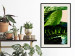 Poster Dieffenbachia - plant landscape with dark green leaves on a light background 129918 additionalThumb 24