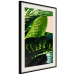 Poster Dieffenbachia - plant landscape with dark green leaves on a light background 129918 additionalThumb 4