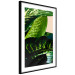 Poster Dieffenbachia - plant landscape with dark green leaves on a light background 129918 additionalThumb 2
