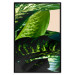 Poster Dieffenbachia - plant landscape with dark green leaves on a light background 129918 additionalThumb 16