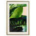 Poster Dieffenbachia - plant landscape with dark green leaves on a light background 129918 additionalThumb 20
