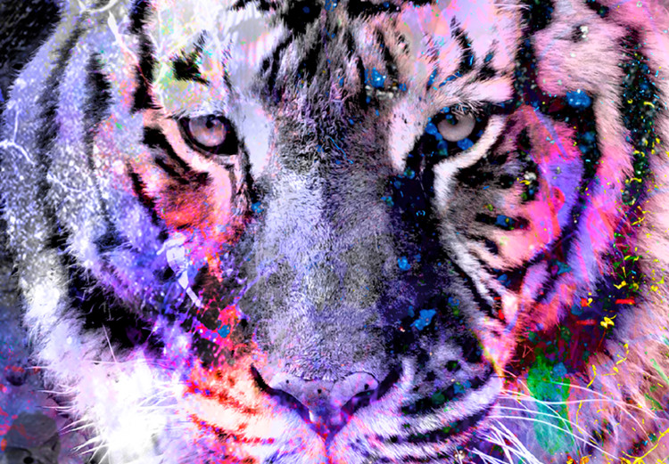 Large canvas print Colorful Cats [Large Format] 131518 additionalImage 4