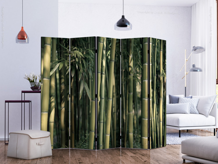Room Divider Exotic Bamboo II (5-piece) - composition in a bamboo-filled forest 133118 additionalImage 2