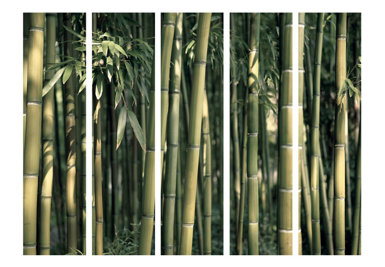 Room Divider Exotic Bamboo II (5-piece) - composition in a bamboo-filled forest 133118 additionalImage 3