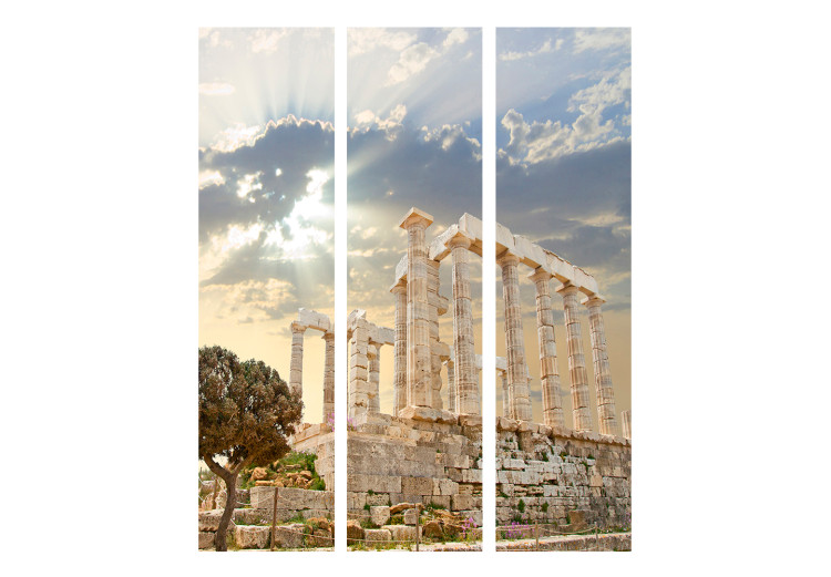 Folding Screen Greek Acropolis - tree and historic architecture against bright sky 133818 additionalImage 3