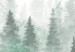 Large canvas print Scandinavian Foggy Forest [Large Format] 136418 additionalThumb 3