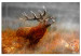 Large canvas print Roaring Deer [Large Format] 137618