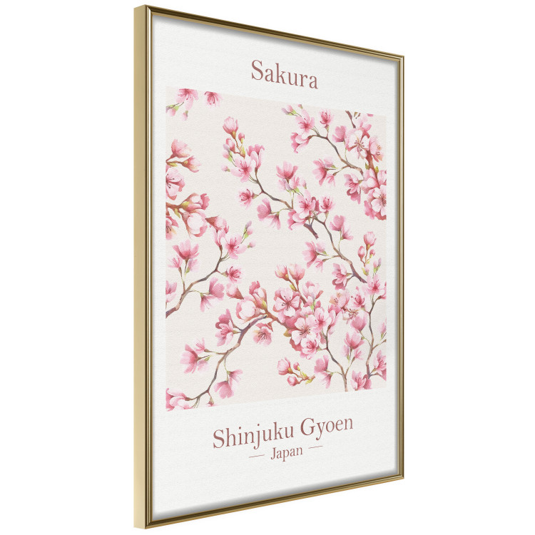 Poster Sakura - English and Japanese text with pink flower 138218 additionalImage 22