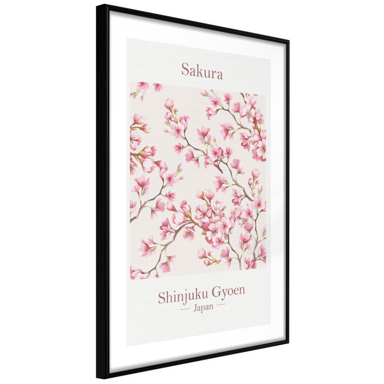 Poster Sakura - English and Japanese text with pink flower 138218 additionalImage 23