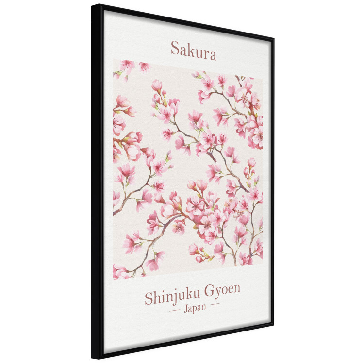 Poster Sakura - English and Japanese text with pink flower 138218 additionalImage 24
