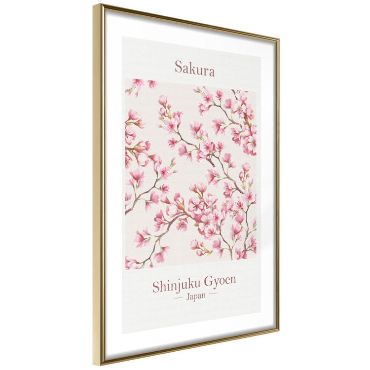 Poster Sakura - English and Japanese text with pink flower 138218 additionalImage 21