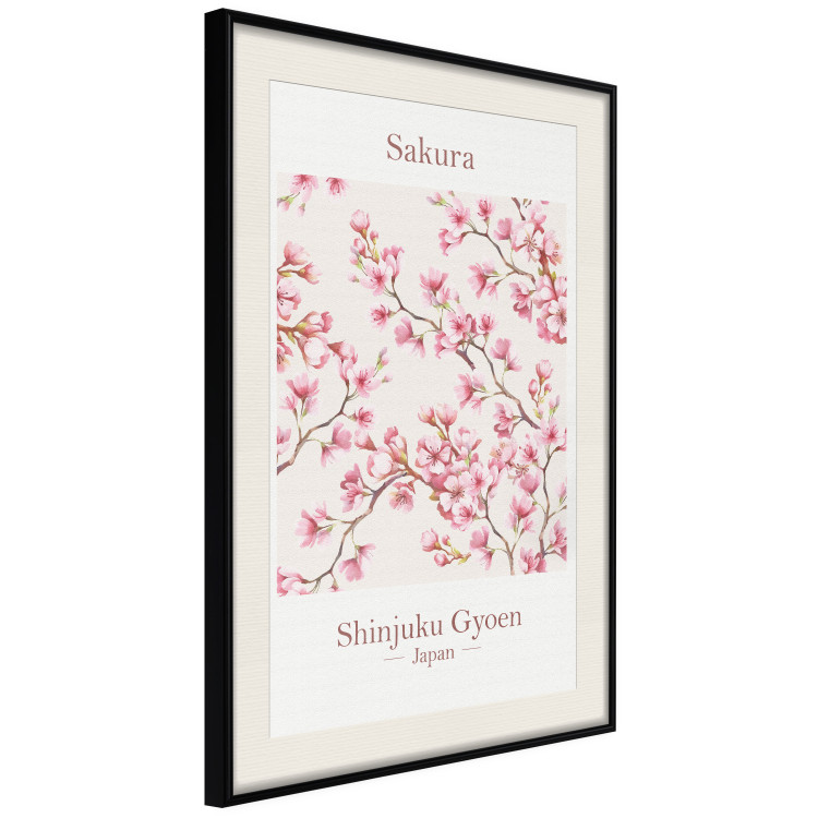 Poster Sakura - English and Japanese text with pink flower 138218 additionalImage 20