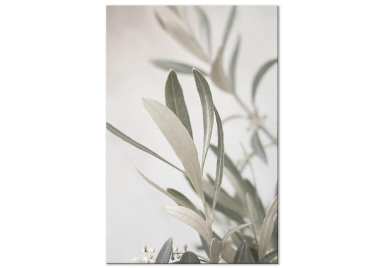 Canvas Art Print Olive Tree Branch (1-piece) - landscape in leaves on a light background 145218