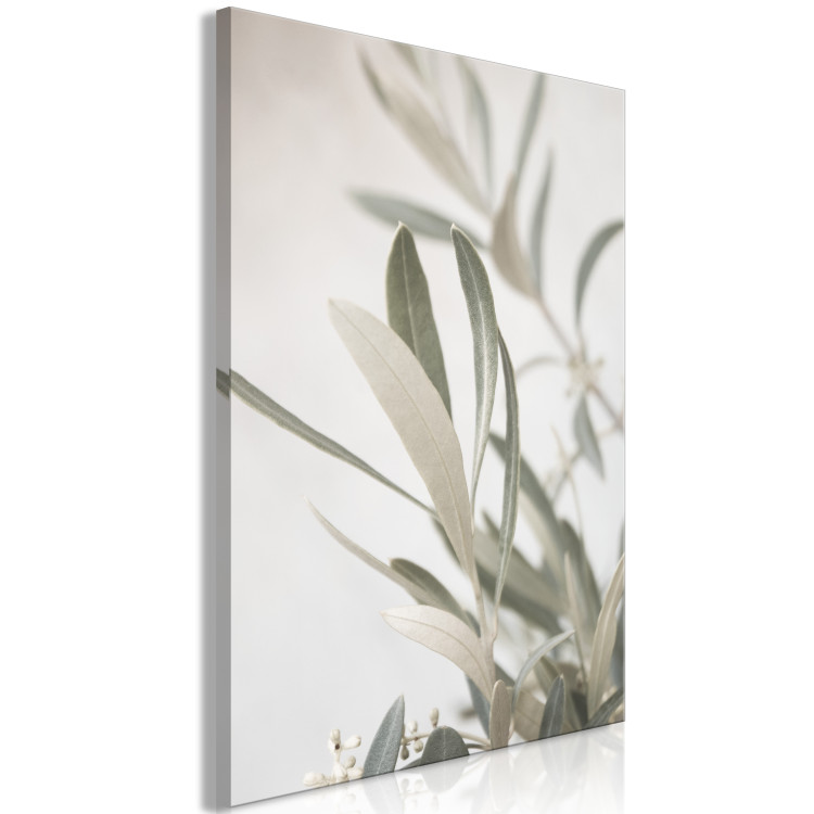 Canvas Art Print Olive Tree Branch (1-piece) - landscape in leaves on a light background 145218 additionalImage 2