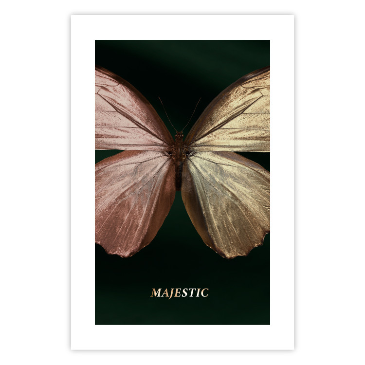 Wall Poster Majestic Insect - Butterfly With Unusual Wings on a Dark Background 145518 additionalImage 20