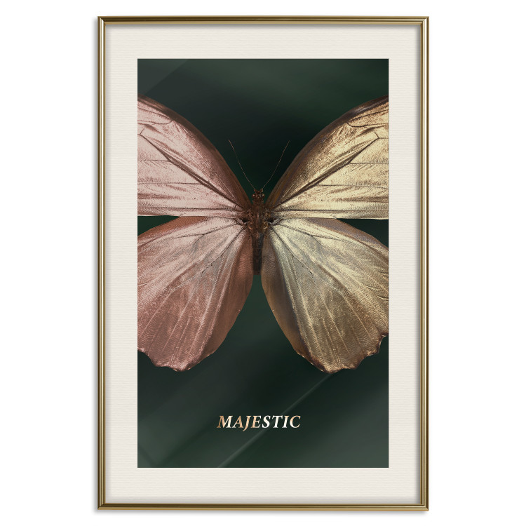 Wall Poster Majestic Insect - Butterfly With Unusual Wings on a Dark Background 145518 additionalImage 27