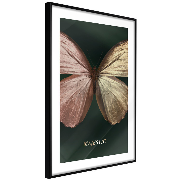 Wall Poster Majestic Insect - Butterfly With Unusual Wings on a Dark Background 145518 additionalImage 7