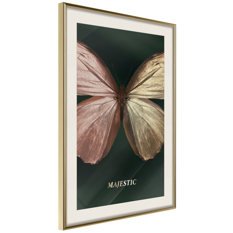 Wall Poster Majestic Insect - Butterfly With Unusual Wings on a Dark Background 145518 additionalImage 8