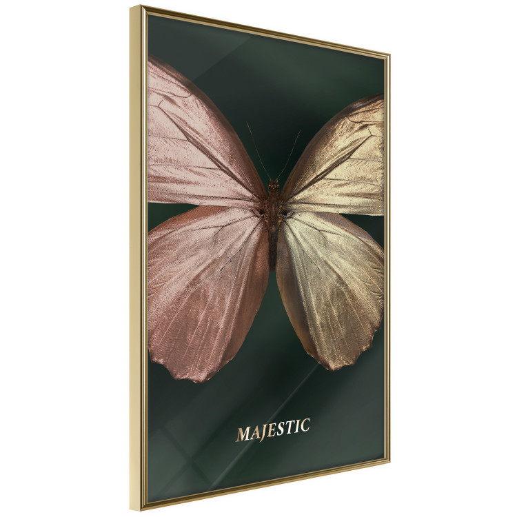 Wall Poster Majestic Insect - Butterfly With Unusual Wings on a Dark Background 145518 additionalImage 2