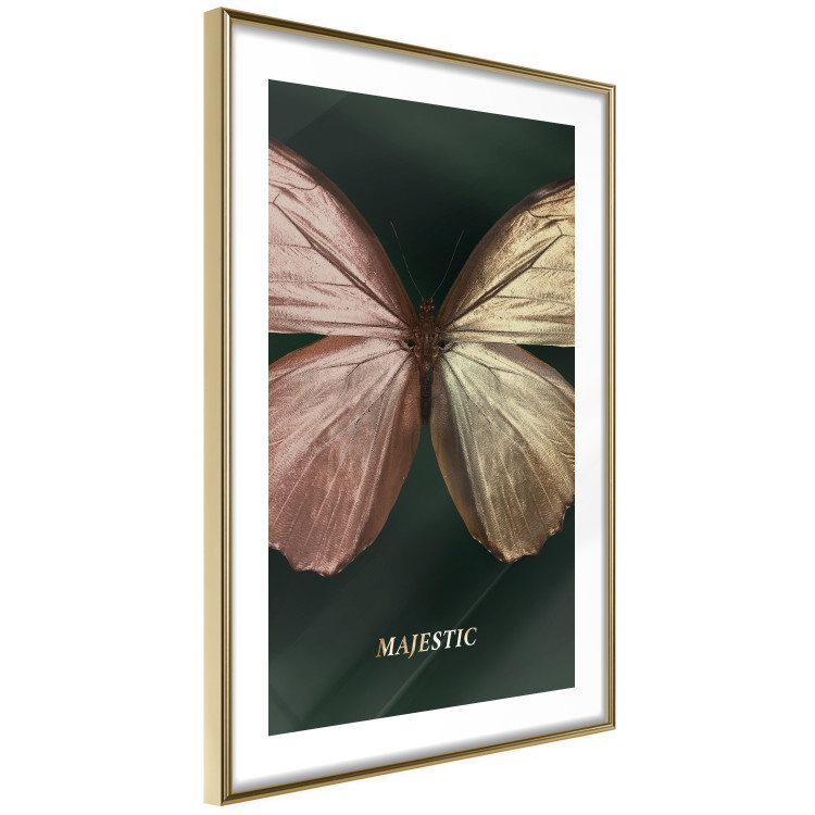 Wall Poster Majestic Insect - Butterfly With Unusual Wings on a Dark Background 145518 additionalImage 9