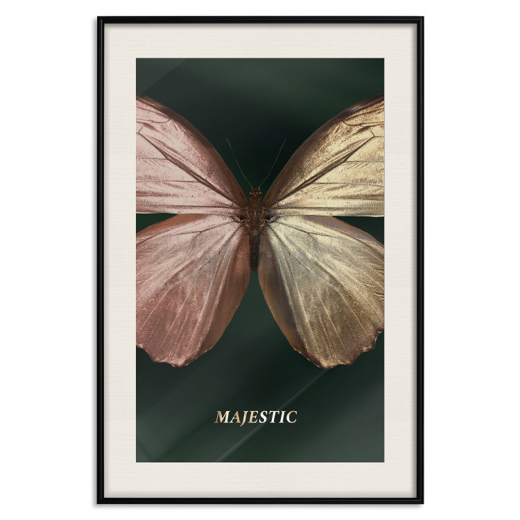 Wall Poster Majestic Insect - Butterfly With Unusual Wings on a Dark Background 145518 additionalImage 26