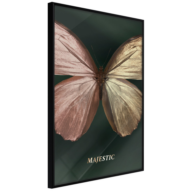 Wall Poster Majestic Insect - Butterfly With Unusual Wings on a Dark Background 145518 additionalImage 3