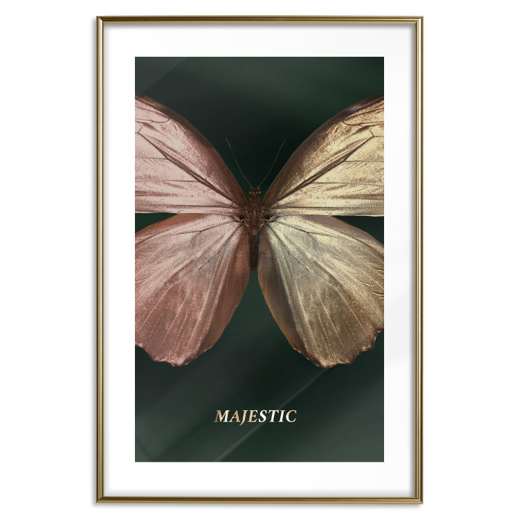 Wall Poster Majestic Insect - Butterfly With Unusual Wings on a Dark Background 145518 additionalImage 25
