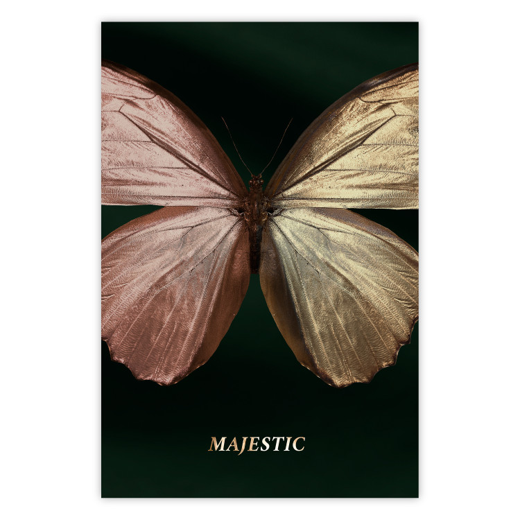 Wall Poster Majestic Insect - Butterfly With Unusual Wings on a Dark Background 145518