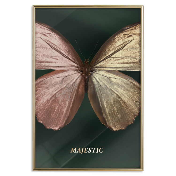 Wall Poster Majestic Insect - Butterfly With Unusual Wings on a Dark Background 145518 additionalImage 23