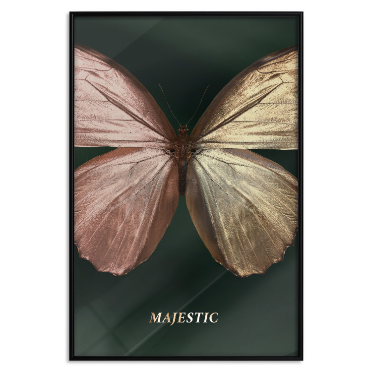 Wall Poster Majestic Insect - Butterfly With Unusual Wings on a Dark Background 145518 additionalImage 22