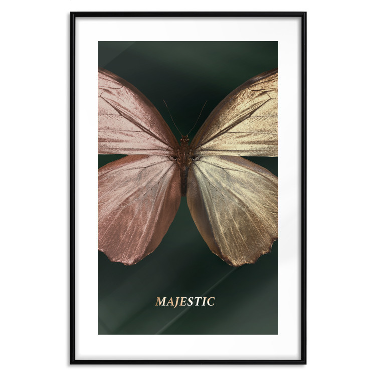 Wall Poster Majestic Insect - Butterfly With Unusual Wings on a Dark Background 145518 additionalImage 24