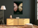 Wall Poster Majestic Insect - Butterfly With Unusual Wings on a Dark Background 145518 additionalThumb 14