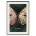 Wall Poster Majestic Insect - Butterfly With Unusual Wings on a Dark Background 145518 additionalThumb 26