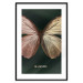 Wall Poster Majestic Insect - Butterfly With Unusual Wings on a Dark Background 145518 additionalThumb 24