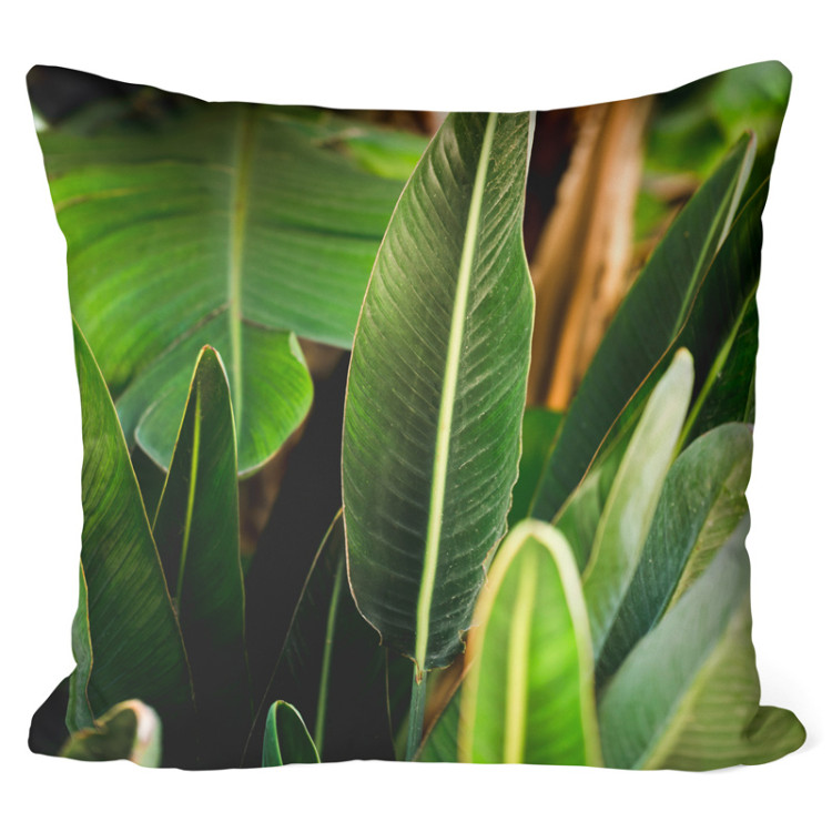 Decorative Microfiber Pillow Paradise Strelitzia - a composition with rich detail of exotic plants cushions 146818