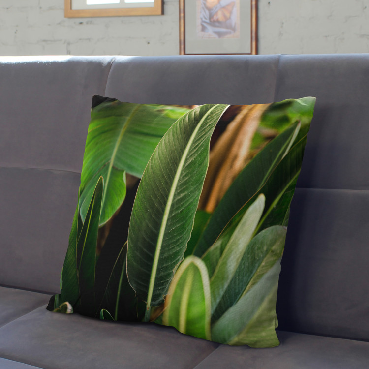 Decorative Microfiber Pillow Paradise Strelitzia - a composition with rich detail of exotic plants cushions 146818 additionalImage 3
