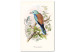 Canvas Print Common Starling (1-piece) - colorful birds on tree branches 149718