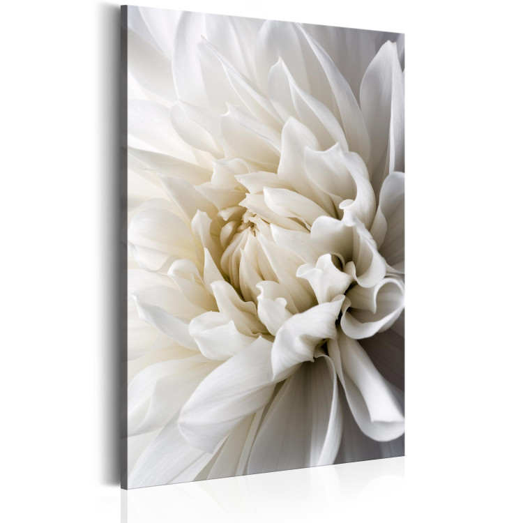 Large canvas print White Dahlia [Large Format] 150918 additionalImage 2